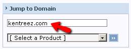 Jump to domain Fill domain name.png