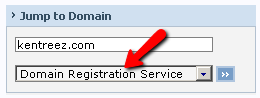 Domain Registration Service.png